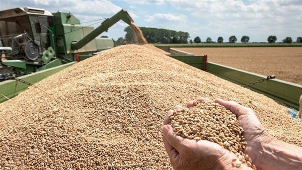 وزارة..الإنتاج المتوقع من الحبوب يقدر بـ 31,2 مليون قنطار