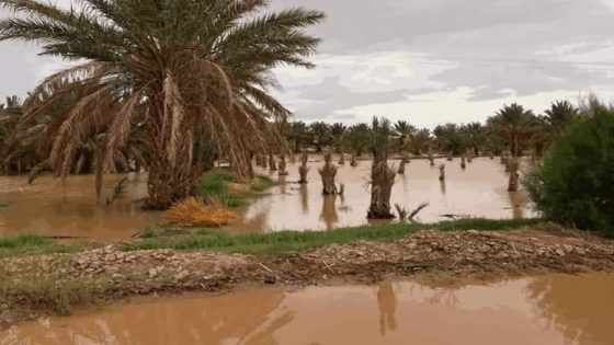 بتعليمات ملكية سامية .. اطلاق برنامج لتأهيل المناطق المتضررة من فيضانات الجنوب الشرقي