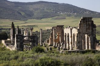 Volubilis Longshot II
