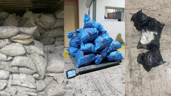 إجهاض عملية نوعية للتهريب الدولي للمخدرات القوية عبر ميناء طنجة المتوسط