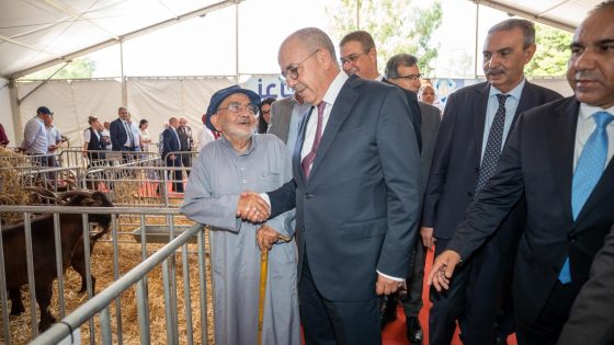 شفشاون..تنظيم الدورة الخامسة عشرة للمعرض الجهوي للماعز