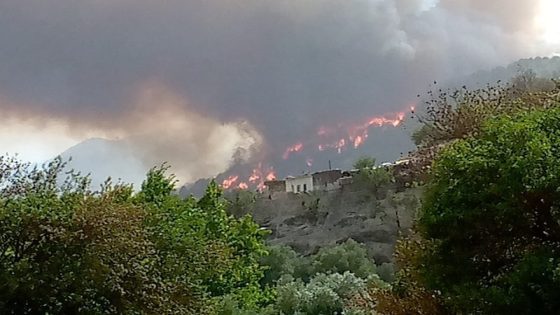 السيطرة على ثمانية حرائق سجلت على الصعيد الوطني