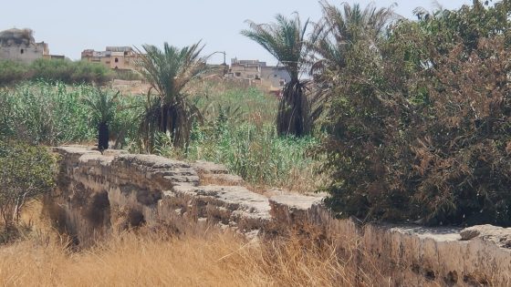 متى سيتم تنزيل البرنامج التكميلي لتثمين المدينة العتيقة لمكناس والأحواز؟