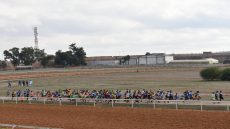 مكناس..تنظيم البطولة الإقليمية للعدو الريفي المدرسي لموسم 2025/2026