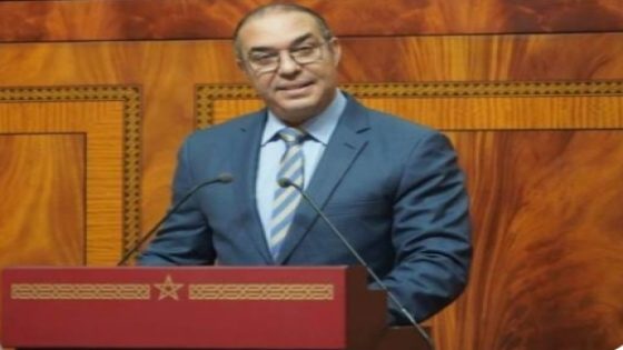 في خرجة مثيرة للجدل..أوزين يصف بعض المقاولات الاعلامية بالفراقشية ورموز التفاهة