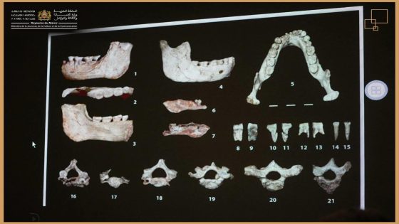 الدارالبيضاء..اكتشاف أثري غير مسبوق يخص جذور الإنسان العاقل في العالم