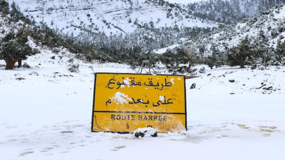 نشرة انذارية..موجة برد من الجمعة إلى الأحد بعدد من مناطق المملكة