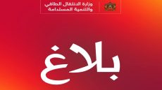 الظروف المناخية..وزارة الانتقال الطاقي تعبئ كل الفاعلين لضمان التزويد المنتظم بالمواد البترولية