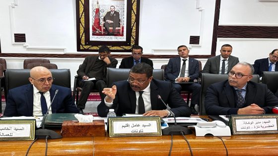 تاونات…إنجاز حوالي 700 تدخلا وعملية من طرف اللجنة الإقليمية لليقظة