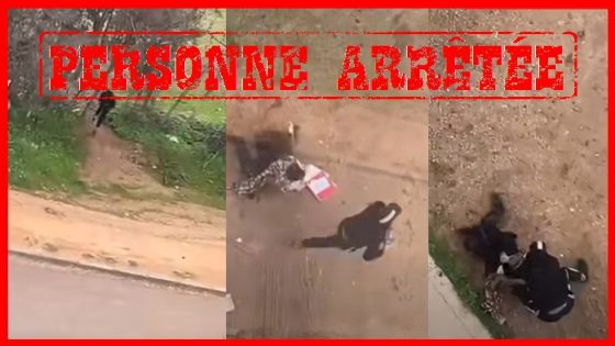 مكناس..توقيف شخص يشتبه تورطه في السرقة باستعمال العنف