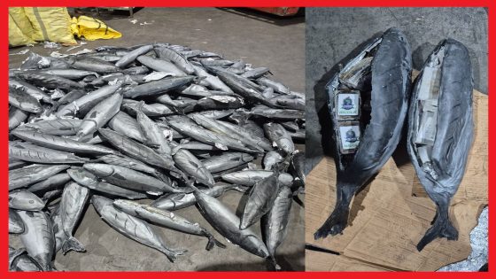 إحباط محاولة للتهريب الدولي للمخدرات وحجز ما مجموعه ثلاثة أطنان و932 كيلوغراما من مخدر الشيرا.