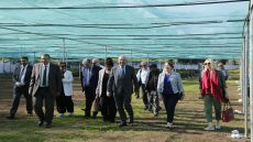 فنلندا تطّلع ميدانياً على التجربة المغربية في تدبير الموارد الغابوية