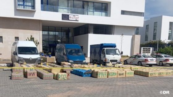 أمن الصويرة يحبط محاولة للتهريب الدولي للمخدرات وحجز 11 طنا من الشيرا