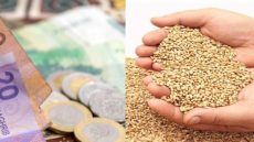 المجلس العلمي الأعلى يحدد 25 درهما مقدار زكاة الفطر لهذا العام