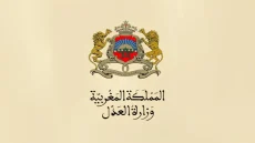 وزارة العدل تنبه من موقع إلكتروني مزيف لأداء غرامات مخالفات السير