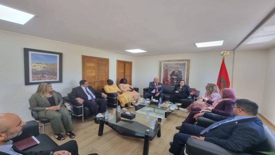 مجلس جهة فاس-مكناس يعزز انفتاحه الدولي باستقبال وفود من فرنسا والأردن والسنغال