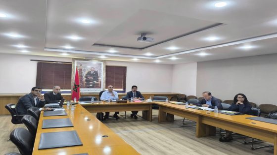 أكادير ..اجتماع اللجنة الجهوية للانتقاء النهائي لمشاريع التعاونيات في إطار برنامج للا المتعاونة والجيل المتضامن لسنة 2026