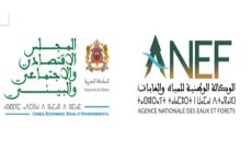 تعزيز مكافحة الجرائم البيئية بالمغرب عبر مقاربة تجمع بين الزجر وجبر الضرر