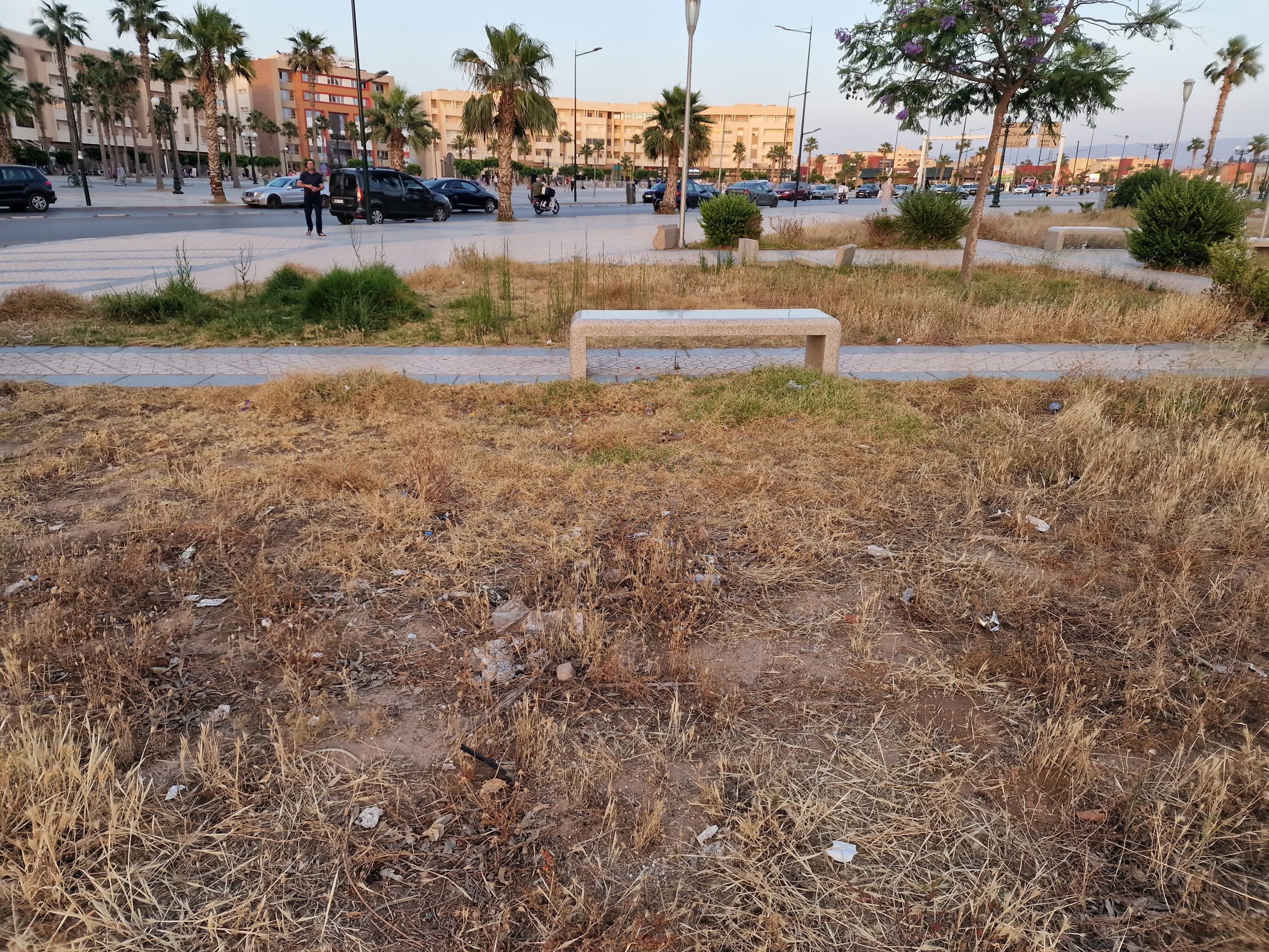 بالصور.. حدائق عمومية بوجدة تستغيث من الإهمال 15 IMG 20260612 WA0044 scaled