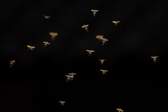 IMG 20260627 WA0017