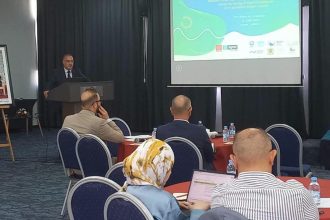FB IMG 1784228276970