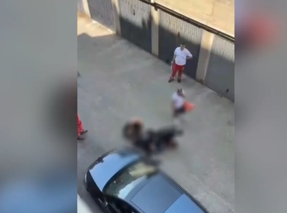 vis 0721202616421430