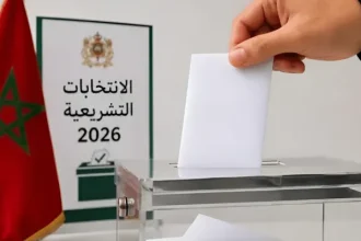 elections 2 1.png