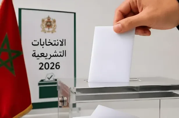 elections 2 1.png