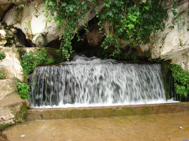 IMG 20261024 WA0001
