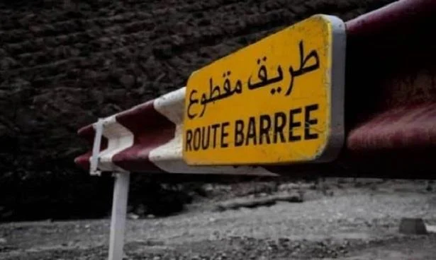 vis 0204202616172522