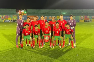 vis 1029202621255971